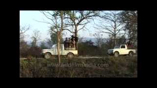 Visiting Corbett National Park an introduction [upl. by Charbonnier]