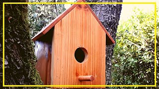 How to Make a Birdhouse  DIY Woodworking Project That Sell [upl. by Dickenson]