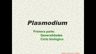 Plasmodium primera parte [upl. by Bodwell320]