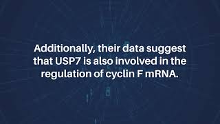 USP7 Regulates Cyclin F Protein Stability  AgingUS [upl. by Nylrahs]