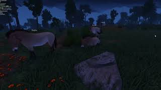 Western Horse  Roblox Ecos  La Brea Documentary [upl. by Burgwell]