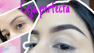 CEJAS PERFECTAS 💐  mi rutina de cejas con pomada [upl. by Ahsienod]