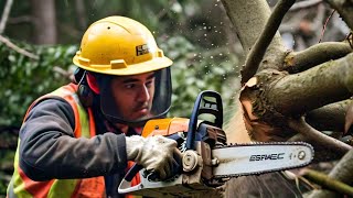 cómo usar una motosierra para cortar una planta de manera fácil que caiga la planta [upl. by Ardyaf]