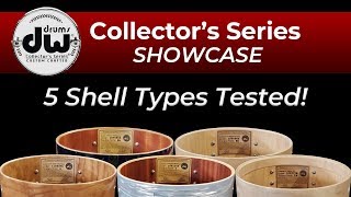 DW Collectors Drum Sets Showcase  5 Shells Tested [upl. by Zolly]