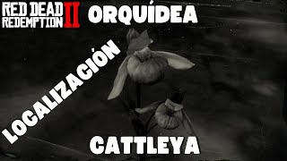 Localización de las 5 Orquídeas Cattleya de RDR2 [upl. by Azilef]