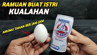 TERNYATA BEGINI KHASIAT MINUM SUSU BERUANG DICAMPUR TELUR AYAM KAMPUNG [upl. by Nylkcaj806]