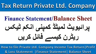 How to file Private Ltd Company Income Tax ReturnProfit amp Loss Statement  Balance Sheet [upl. by Kipton481]