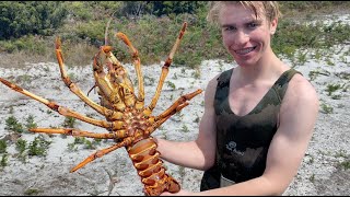 Crayfish Diving the North East of Tasmania [upl. by Grizel627]