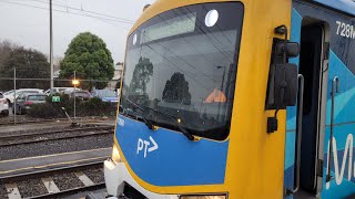 Siemens Nexas from Sandringham to Flinders Street [upl. by Masha]