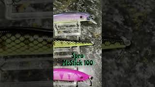 Jerkbait fishing bassfishing outdoors bass shortvideo shorts ytshorts short fish jerkbait [upl. by Arhat]