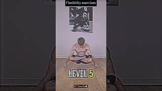 Flexibility exercises brucelee [upl. by Enois]