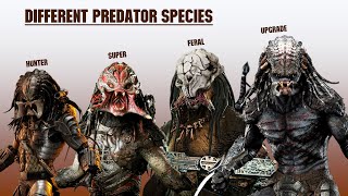 The 8 Predator Subspecies And Hybrids Explained [upl. by Zeuqirdor]