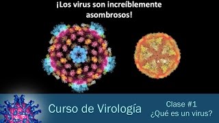 Clase 1  ¿Qué es un virus [upl. by Ahsinrat880]