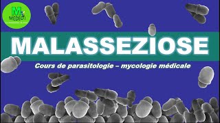 MALASSEZIOSE cours de parasitologiemycologie [upl. by Saiasi]