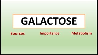 Galactose Metabolism [upl. by Derrick]