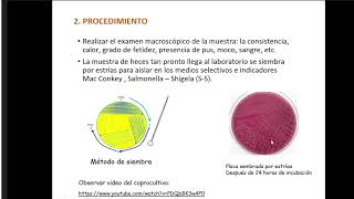 Microbiología  Práctica 11 Enterobacterias  Dr Zárate [upl. by Londoner]