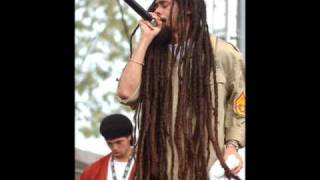 Damian Marley welcome to jamrock [upl. by Silecara]