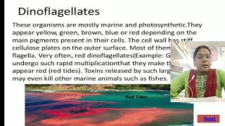 Kingdom Protista  class 11 part 1 [upl. by Krista437]