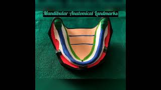 Mandibular Anatomical Landmarks [upl. by Tan]