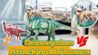 MY DINO Manufacturer  Fighting Dinosaurs Deinonychus Attacking Maiasaura [upl. by Azeel]