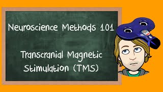 Transcranial Magnetic Stimulation TMS explained  Neuroscience Methods 101 [upl. by Brathwaite]