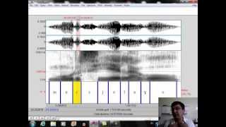 Configuración espectrográfica de vocales y consonantes [upl. by Serles]