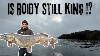 Is Roidy still the best pike fisherman on Windermere [upl. by Wilder]