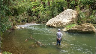 Incredible Fly Fishing for BIG Rainbow Trout in a Stunning River [upl. by Cavil294]