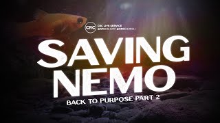 Saving Nemo  Pastor At Boshoff  11 August 2024 PM [upl. by Aihsia]