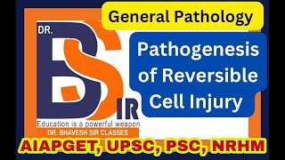 Pathogenesis of Reversible Cell Injury  General Pathology  Pathology  DrBhavesh Sir Classes [upl. by Ailices]