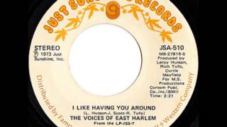 Voices of east Harlem Cashing in 1973 [upl. by Bowes]