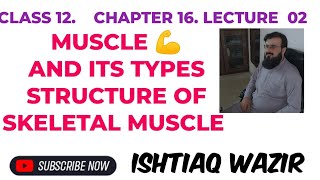 MUSCLE AND ITS TYPES SMOOTHCARDIAC AND SKELETAL MUSCLE [upl. by Sregor]