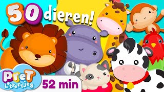 Pretlettertjes • Alle 50 Dierengeluiden • 52 min Special • Voor Baby Dreumes en Peuter • Nederlands [upl. by Doraj]