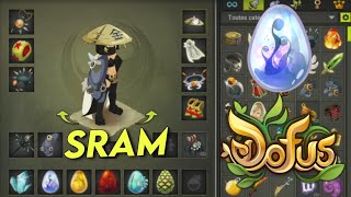 LE SRAM NEBULEUX 1700 FORCE SUR DOFUS [upl. by Ahsiakal]