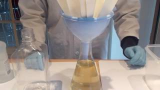 Extraction de lalginate pour fabriquer un bioplastique [upl. by Assert]