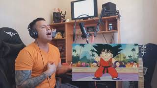 Dragon Ball  Ganador Cover español latino [upl. by Nedle]