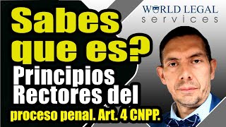 Estos son los PRINCIPIOS RECTORES DEL PROCESO PENAL Artículos 20 constitucional y Art 4 CNPP [upl. by Oiluig]