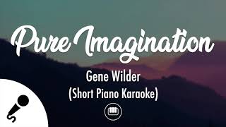 Pure Imagination  Gene Wilder Short Piano Karaoke [upl. by Alehtse370]