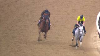 Belmont Stakes Contenders  Governor Malibu Workout [upl. by Ahcilef]