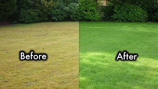 8 Secrets To Keep Your Lawn Always Green And Healthy [upl. by Ciredor]