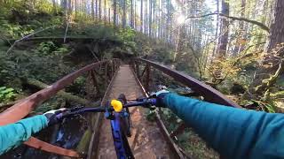 Mountain Biking Greenline Trail in Capitol Forest WA [upl. by Seigel]