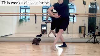 Online Ballet Classes This Week Brisé [upl. by Neeka]