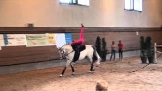 CVN StGallen 2014EinzelJessica Hollenstein [upl. by Grethel]