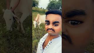 काय चाल्लय……😉😄😃comedy funny farmer comedian farmerstories [upl. by Alesram570]