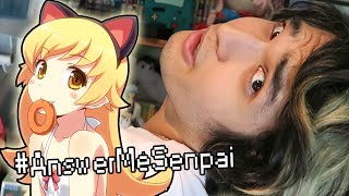 ITS THE NEKO RAP YO AnswerMeSenpai [upl. by Locke]