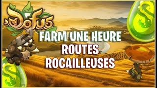 DOFUS Farm UNE HEURE la Route Rocailleuse  Plaines de Cania  4 [upl. by Boutis]