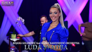 BOJANA GOLUBOVIĆ feat BORKO RADIVOJEVIĆ ORCHESTRA  LUDA SVADBA [upl. by Thain155]