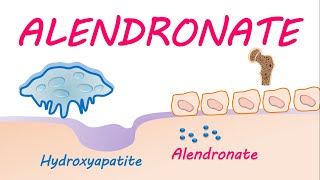 Alendronate sodium FOSAMAX for osteoporosis and Pagets disease [upl. by Roxanna]