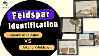 Feldspar  Plagioclase vs Alkali  kfeldspar Mineralogy in hand specimen amp thin section [upl. by Cutlor]