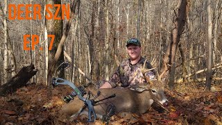 Maryland Public Land Buck Down [upl. by Myrwyn406]